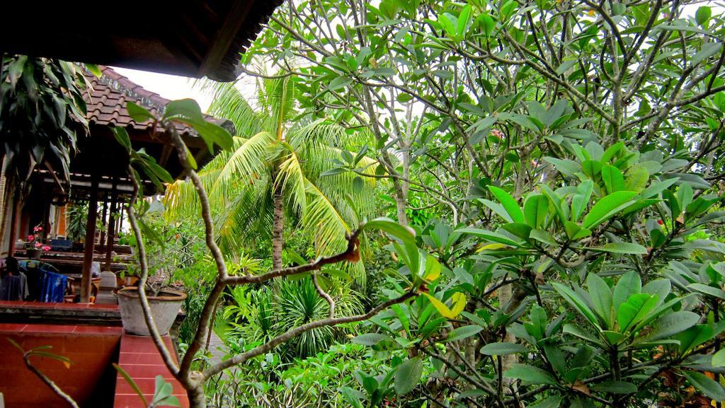 Ubud Bungalow Chambre photo